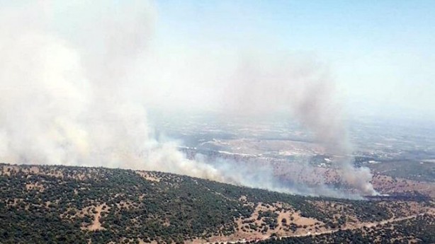 Foto - Sabotaj mı? Manisa'da bir yangın daha!