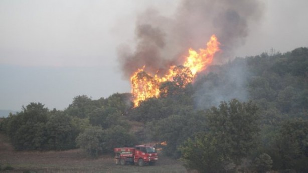 Foto - Sabotaj mı? Manisa'da bir yangın daha!