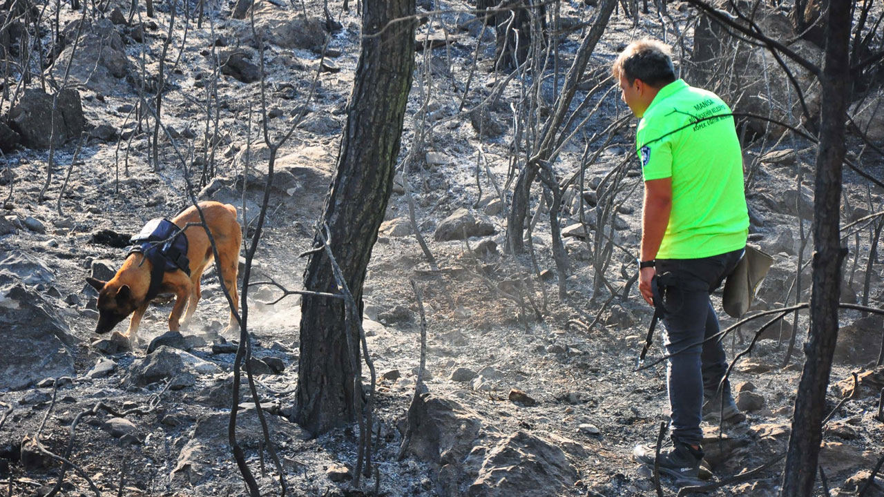 Foto - Sabotaj tespiti artık ona emanet! Yangınların izini 'Ateş' sürüyor