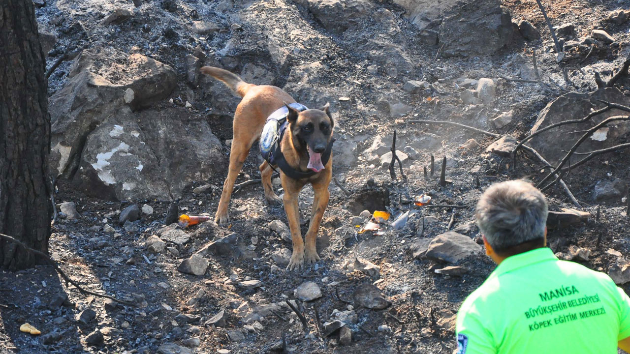 Sabotaj tespiti artık ona emanet! Yangınların izini 'Ateş' sürüyor