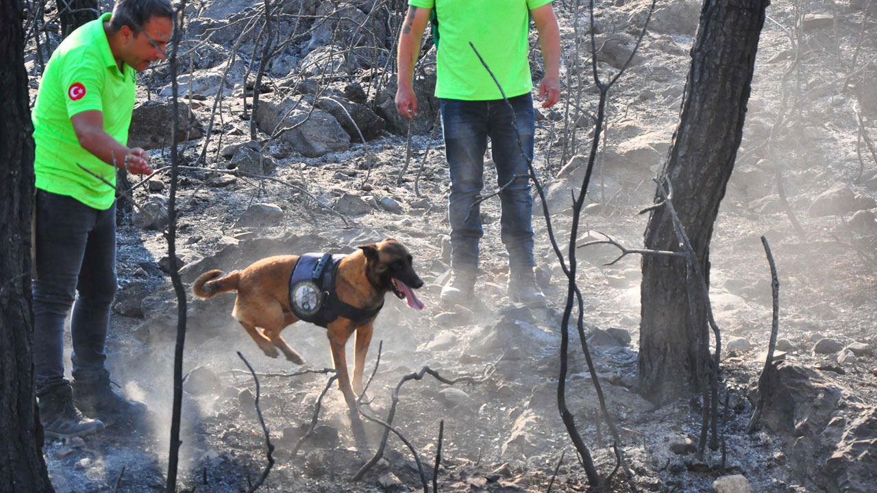 Foto - Sabotaj tespiti artık ona emanet! Yangınların izini 'Ateş' sürüyor