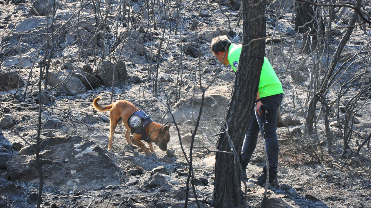 Foto - Sabotaj tespiti artık ona emanet! Yangınların izini 'Ateş' sürüyor