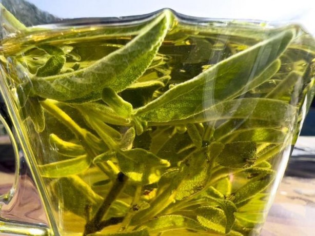 Foto - Saç beyazlaması problemi olanlara doğal yağ! Bu yöntem boya derdini adeta sona erdiriyor