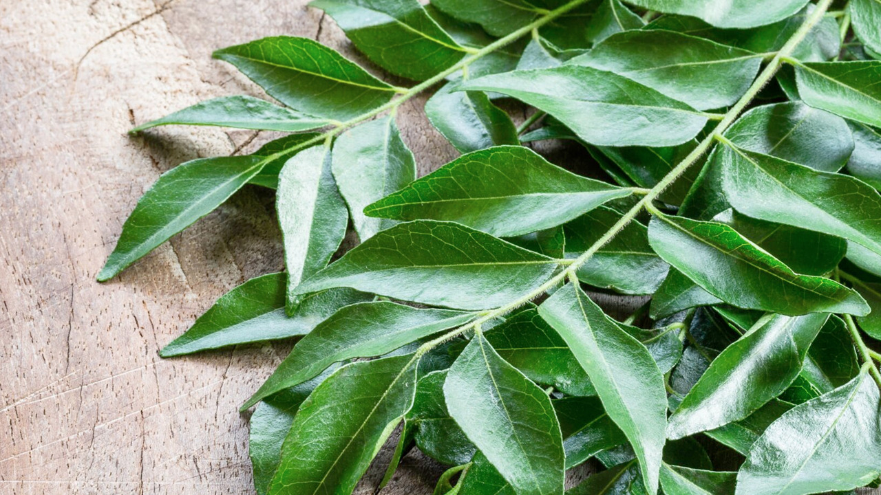 Foto - Saç beyazlamasına kesin çözüm: Beyaz saça geçit yok! Saniyesinde etki ediyor! Daha önce hiç duydunuz mu?