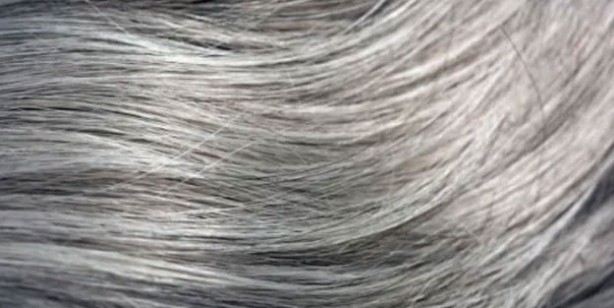 Foto - Saç beyazlamasına neden olan gıdalar