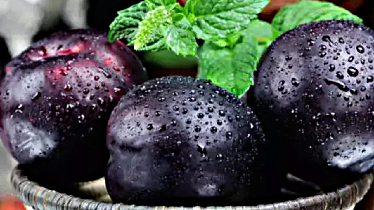 Foto - Saç boyasını unutturan: Tellere işliyor, gram akmıyor