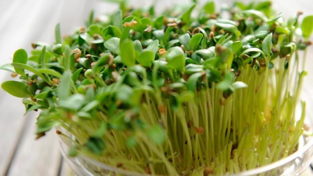 Foto - Saç çıkmadık yer bırakmıyor! İşte saçların uzamasını ve gürleştirmesini sağlayan doğal teknikler