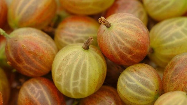 Foto - Saç çıkmadık yer bırakmıyor! İşte saçların uzamasını ve gürleştirmesini sağlayan doğal teknikler