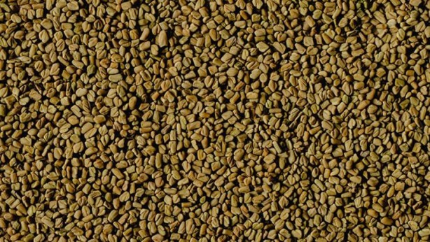 Foto - Saç çıkmadık yer bırakmıyor! İşte saçların uzamasını ve gürleştirmesini sağlayan doğal teknikler