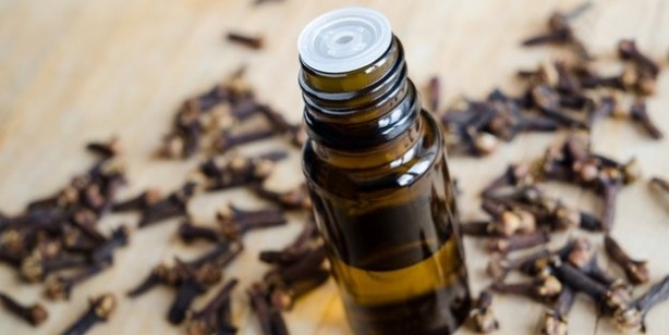 Foto - Saç dökülmesinden karanfil kürü yaparak kurtulun