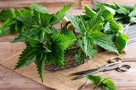 Foto - Saç dökülmesine evde doğal ve bitkisel çözüm: Saçı kökünden çoşturan lavanta suyu bakın ne işe yarıyor!