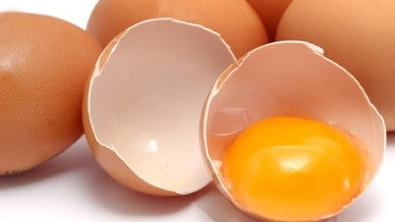 Foto - Saç dökülmesine karşı 5 gıda: Çok güçlü besinler büyük değişim yapıyor, herkes şokta! Tercih ediliyor