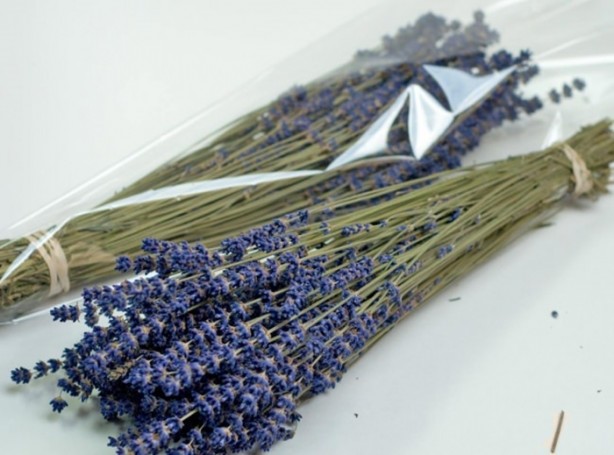 Foto - Saç dökülmesini önlemek istiyorsanız...