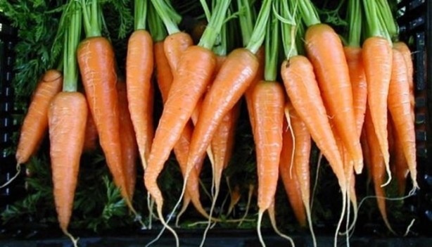 Foto - Saç dökülmesini önlemek istiyorsanız...