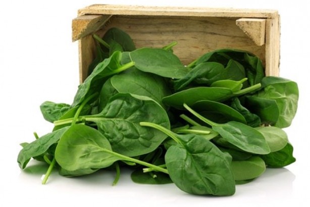 Foto - Saç dökülmesini önlemek istiyorsanız...