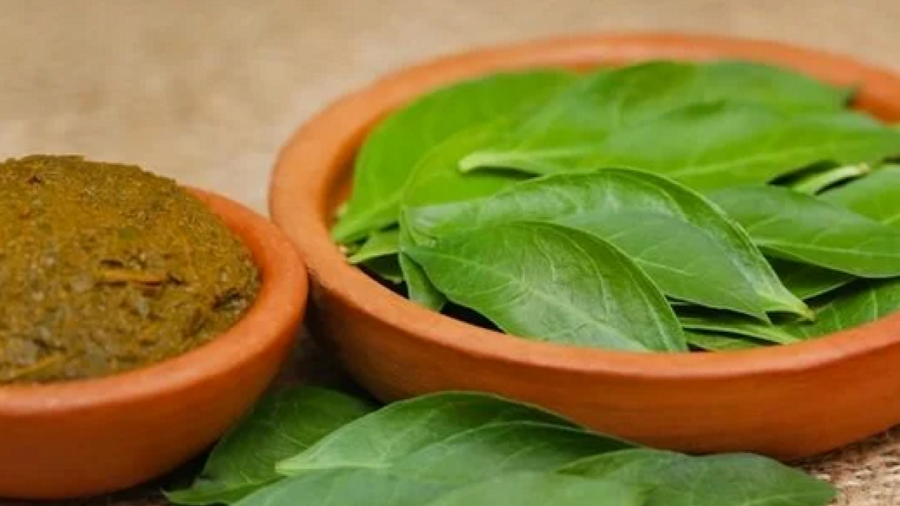 Foto - Saça kına nasıl yakılır? Kınanın saça faydaları nelerdir? Bakın neye iyi geliyor