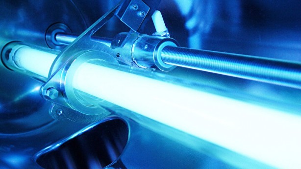 Foto - Saçları dökülenler bu habere dikkat: Bir avuç tüketmek bile etki ediyor