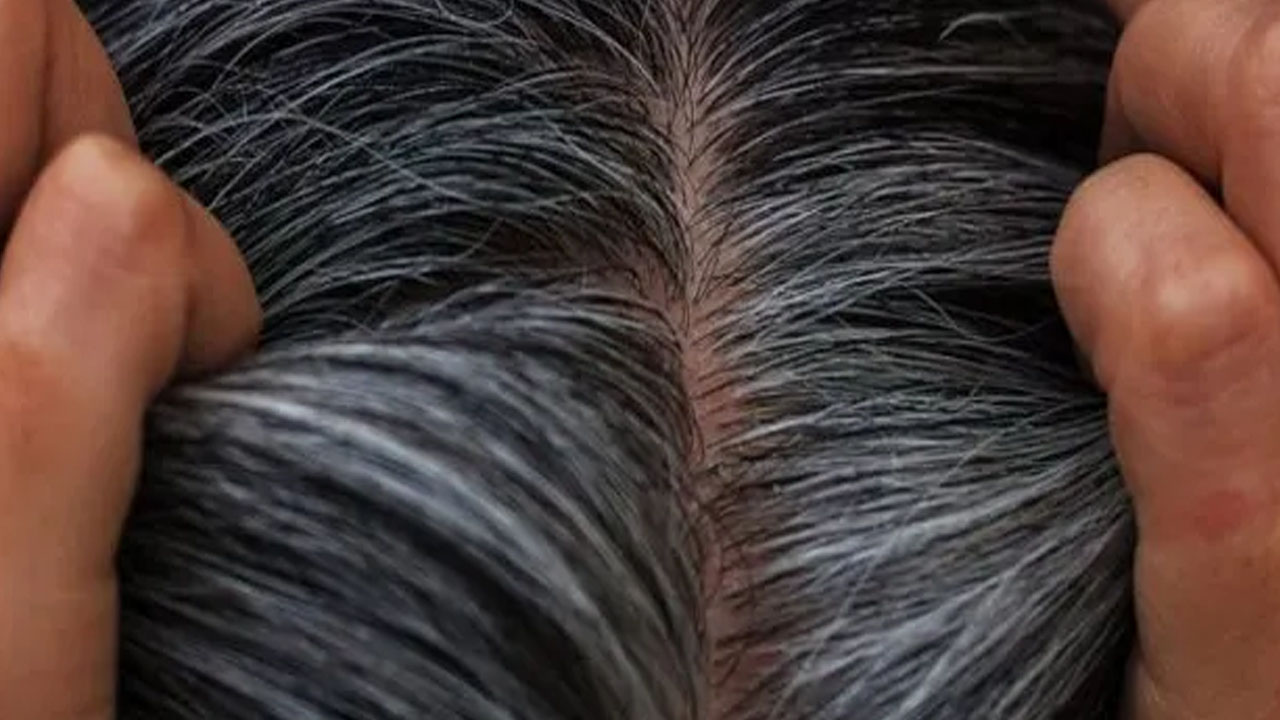 Foto - Beyaz düşmüş saçları simsiyah yapıyor!