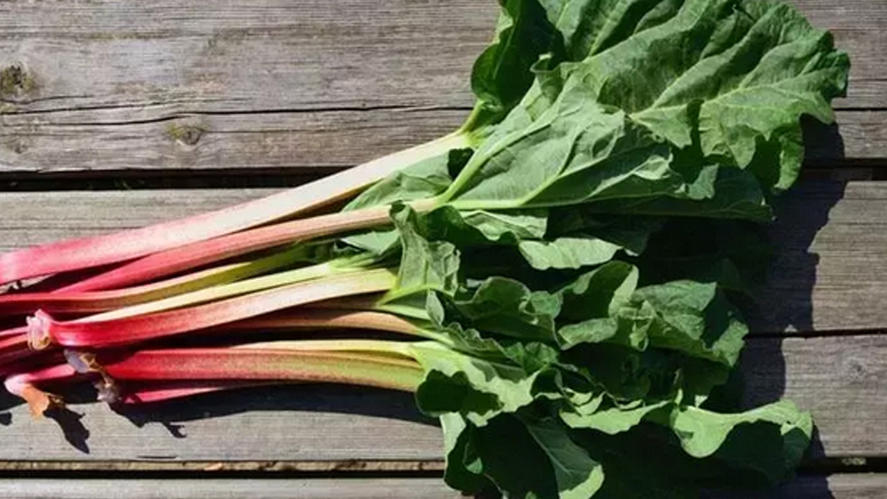 Foto - Saçlarınızdaki beyaz saçları 1 saatte siyaha çeviriyor! Beyaz saç kapatıcı çözüm o formül 