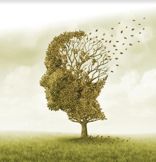 Foto - Saçtaki bu değişiklik 'Alzheimer' belirtisi olabilir