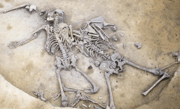 Foto - Sadece 1 tane beklerken… Kazı yapan Fransızlar şoke oldu