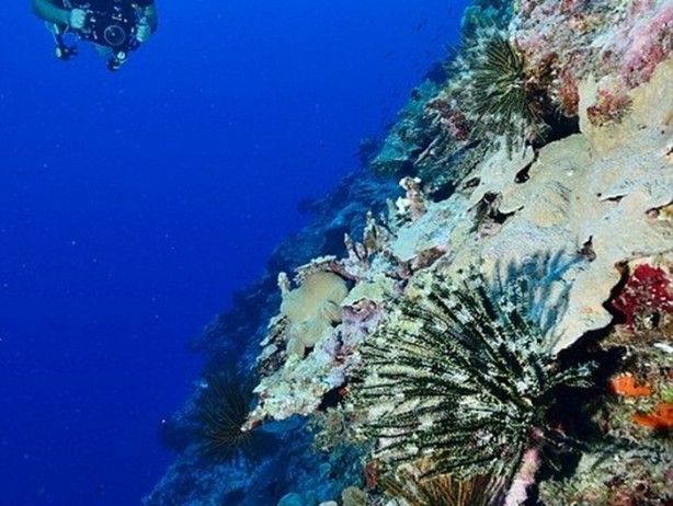 Foto - Sadece 150 TL'ye otel sahibi oldu! Bakın nasıl...