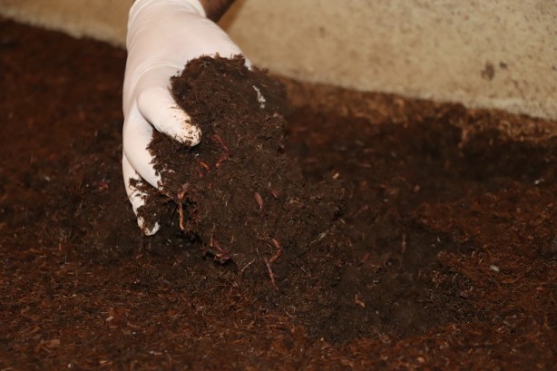 Foto - Sadece 3 yılda büyük başarı! Şi̇mdi̇ de Almanya ve Azerbaycan peşi̇ne düştü