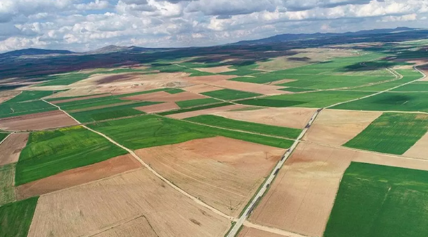 Foto - Sadece 6 gram altına arsa sahibi olabilirsiniz! Yastık altındaki altınları çıkarın, büyük fırsat için saatler kaldı
