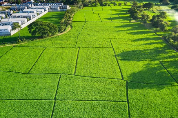 Foto - Sadece 6 gram altına arsa sahibi olabilirsiniz! Yastık altındaki altınları çıkarın, büyük fırsat için saatler kaldı
