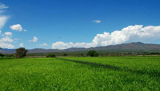 Foto - Sadece 6 gram altına arsa sahibi olabilirsiniz! Yastık altındaki altınları çıkarın, büyük fırsat için saatler kaldı