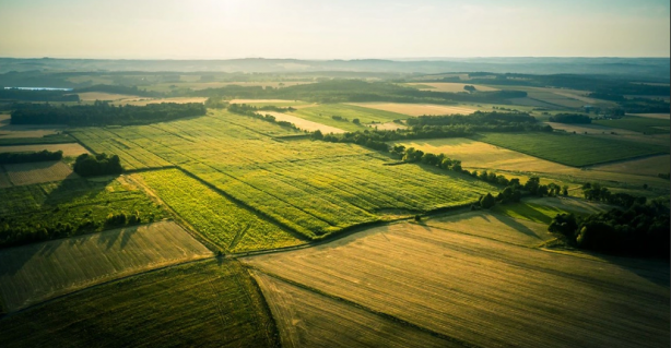 Foto - Sadece 6 gram altına arsa sahibi olabilirsiniz! Yastık altındaki altınları çıkarın, büyük fırsat için saatler kaldı