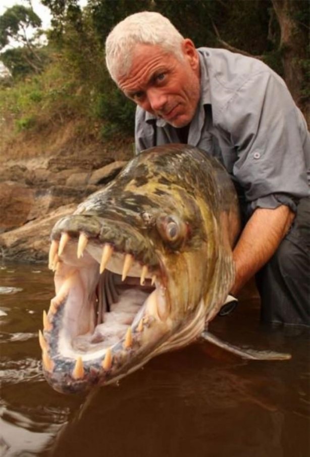 Foto - Sadece Afrika'da görebileceğiniz görüntüler!