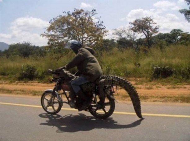 Foto - Sadece Afrika'da görebileceğiniz görüntüler!