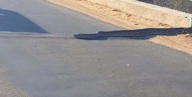 Foto - Sadece Afrika'da görebileceğiniz manzaralar!