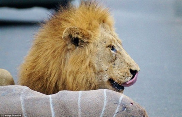 Foto - Sadece Afrika'da görebileceğiniz manzaralar!