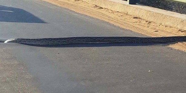 Foto - Sadece Afrika'da görebileceğiniz manzaralar!