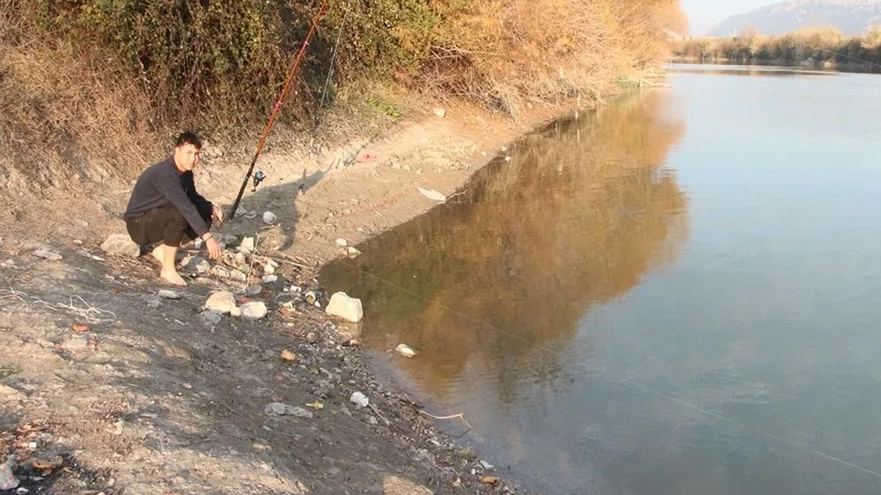 Foto - Sadece balıkları değil insanları da tehdit ediyor! Bu hastalığa dikkat