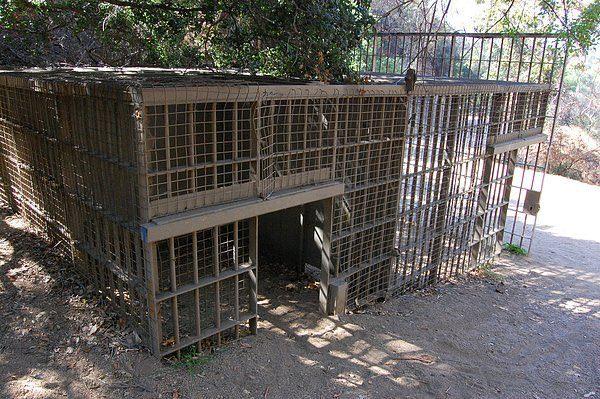 Foto - Sadece bir kişinin yaşadığı ada bile var! Dünyanın en ürpertici yerleri...