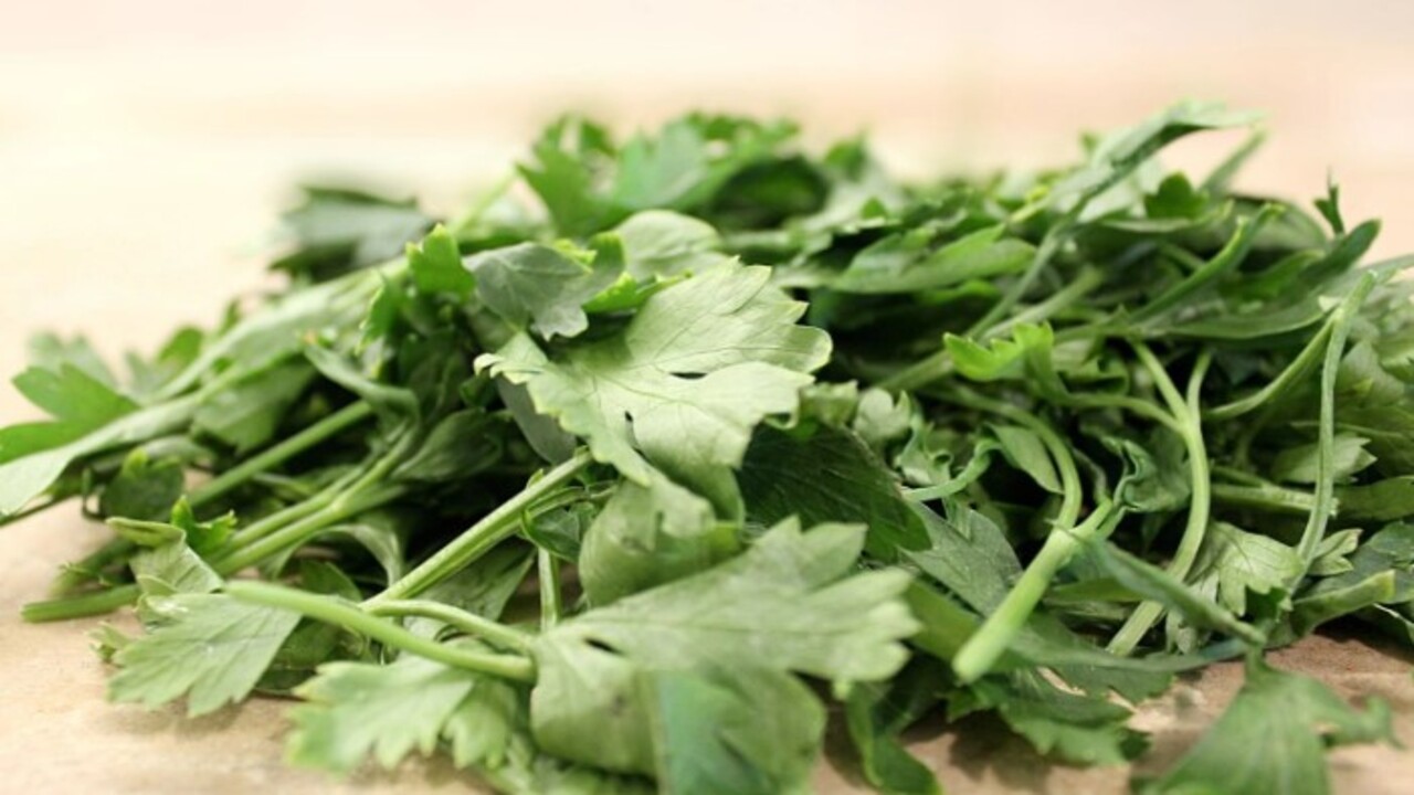 Foto - Sadece çiğnemek yetiyor! İşte ağız kokusundan kurtulmanın en etkili yolu