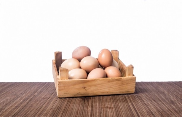 Foto - Sadece et değil, bu besinler de protein zengini!