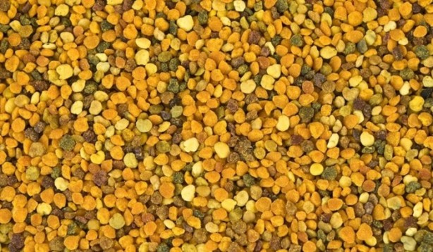 Foto - Sadece et değil, bu besinler de protein zengini!