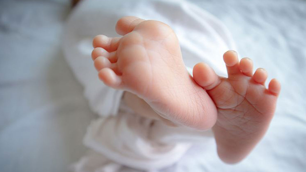 Foto - Sadece hastalıklara karşı kalkan değil! Emzirmenin bilinmeyen etkisi