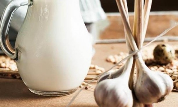 Foto - Evde doğal antibiyotik yapın