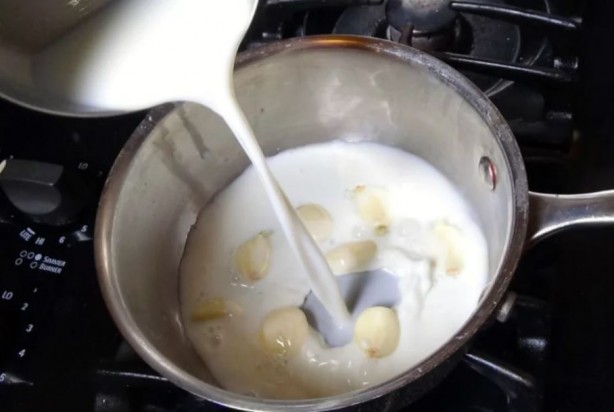 Foto - Evde doğal antibiyotik yapın