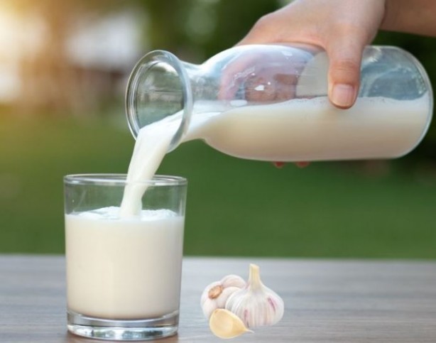 Foto - Evde doğal antibiyotik yapın