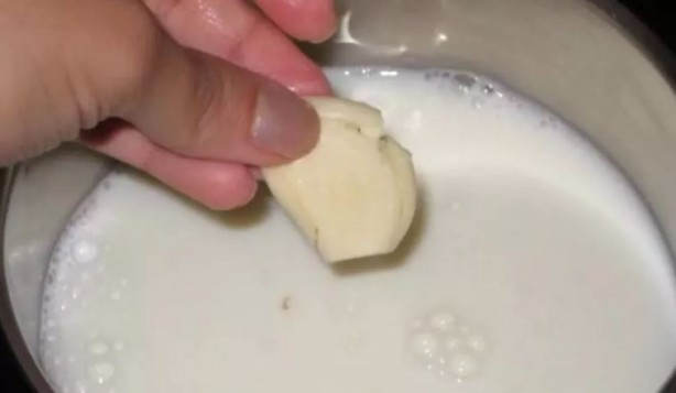 Foto - Evde doğal antibiyotik yapın