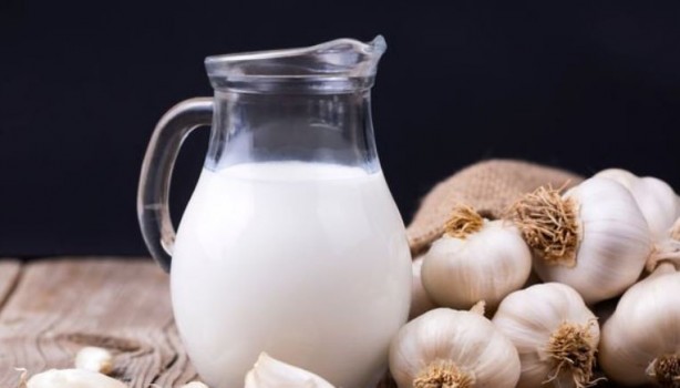 Foto - Evde doğal antibiyotik yapın