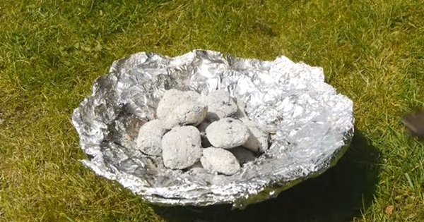 Foto - Sadece iki malzemeyle mangal yapın!