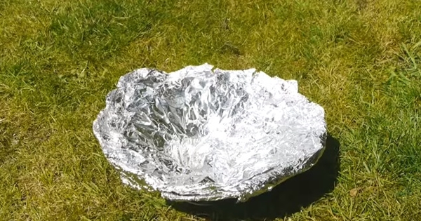 Foto - Sadece iki malzemeyle mangal yapın!