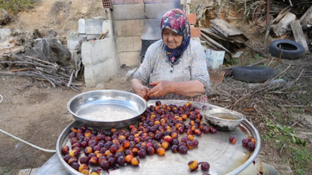 Foto - Sadece o ilde yetişiyor! Kanserin kökünü kazıyor!
